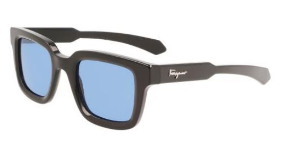 Picture of Salvatore Ferragamo Sunglasses SF1064S