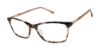 Picture of Ted Baker Eyeglasses BW014