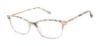 Picture of Buffalo David Bitton Eyeglasses BW027