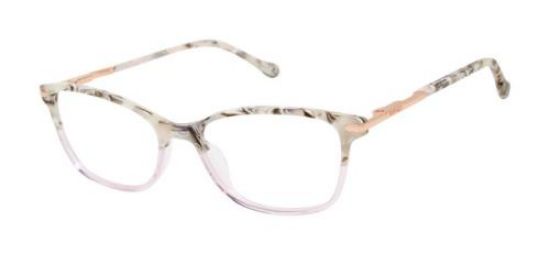 Picture of Buffalo David Bitton Eyeglasses BW027