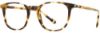 Picture of Scott Harris Eyeglasses SH-X 020