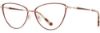 Picture of Cinzia Eyeglasses CIN-5148