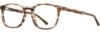Picture of Adin Thomas Eyeglasses AT-560