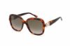 Picture of Jimmy Choo Sunglasses SADIE/S