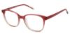 Picture of Aeropostale Eyeglasses Aero2008