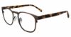 Picture of Lucky Brand Eyeglasses VLBD319