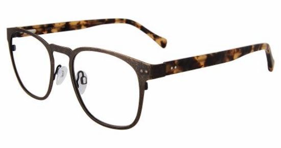 Picture of Lucky Brand Eyeglasses VLBD319