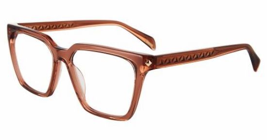 Picture of Police Eyeglasses VPLG29