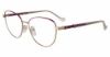 Picture of Yalea Eyeglasses VYA066L