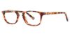 Picture of Randy Jackson Eyeglasses X120
