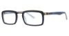 Picture of Randy Jackson Eyeglasses X121