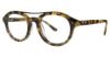 Picture of Randy Jackson Eyeglasses X131