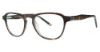 Picture of Randy Jackson Eyeglasses X135