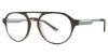 Picture of Randy Jackson Eyeglasses X136