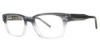 Picture of Randy Jackson Eyeglasses X137