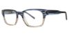 Picture of Randy Jackson Eyeglasses X137