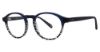 Picture of Randy Jackson Eyeglasses X140