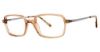 Picture of Randy Jackson Eyeglasses X149