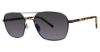 Picture of Randy Jackson Sunglasses S929p