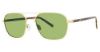 Picture of Randy Jackson Sunglasses S929p