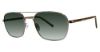 Picture of Randy Jackson Sunglasses S929p