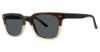 Picture of Randy Jackson Sunglasses S934p
