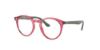 Picture of Ray Ban Eyeglasses RY1594