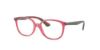 Picture of Ray Ban Eyeglasses RY1598