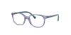 Picture of Ray Ban Eyeglasses RY1900