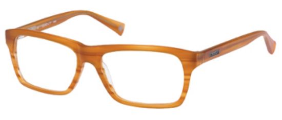 Picture of Gant Rugger Eyeglasses GR LEFFERT
