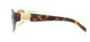 Picture of Ralph Sunglasses RA5049