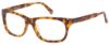 Picture of Gant Rugger Eyeglasses GR GLEN