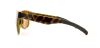 Picture of Smith Sunglasses LOWDOWN