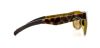 Picture of Smith Sunglasses LOWDOWN