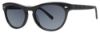 Picture of Vera Wang Sunglasses V413
