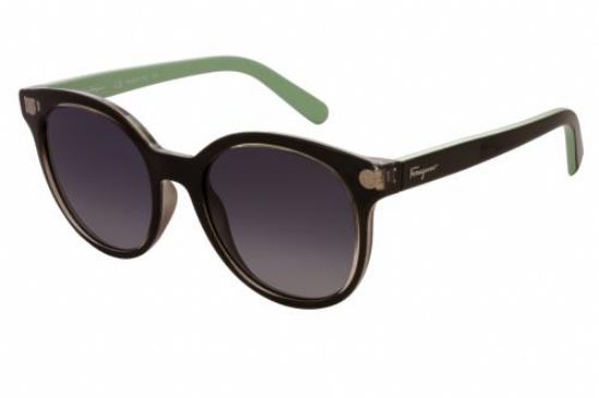 Picture of Salvatore Ferragamo Sunglasses SF833S