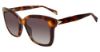 Picture of Police Sunglasses SPLD30