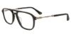 Picture of Police Eyeglasses VPLD13