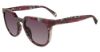Picture of Police Sunglasses SPLD34