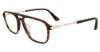 Picture of Police Eyeglasses VPLD13