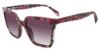 Picture of Police Sunglasses SPLD33