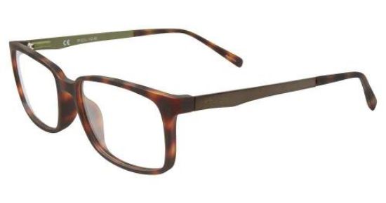 Picture of Police Eyeglasses VPL259