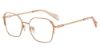 Picture of Police Eyeglasses VPLF25