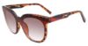 Picture of Fila Sunglasses SFI182