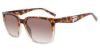 Picture of Fila Sunglasses SFI188