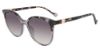 Picture of Yalea Sunglasses SYA033V