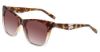 Picture of Fila Sunglasses SFI184