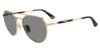 Picture of Police Sunglasses SPLF14