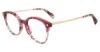 Picture of Police Eyeglasses VPLD25