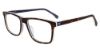 Picture of Gap Eyeglasses VGP011